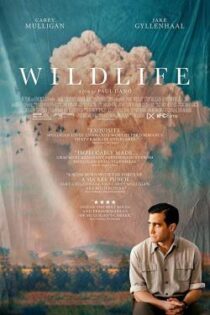 دانلود فیلم Wildlife 2018 حیات وحش